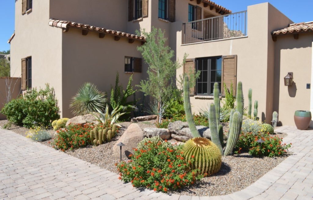 حدائق صحراوية في أبوظبي والعين: تصميم يتحدى الحرارة ويحافظ على الجمال